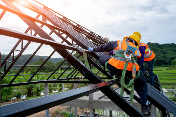 Best Roof Repair Services  in Bloomington, TX