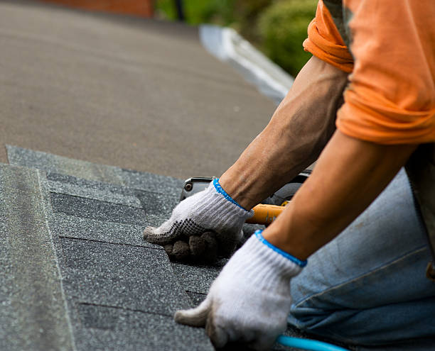 Quick and Trustworthy Emergency Roof Repair Services in Bloomington, TX