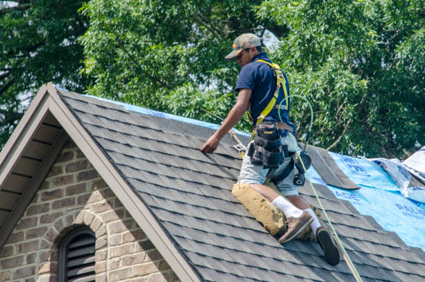 Best Shingle Roofing Installation  in Bloomington, TX